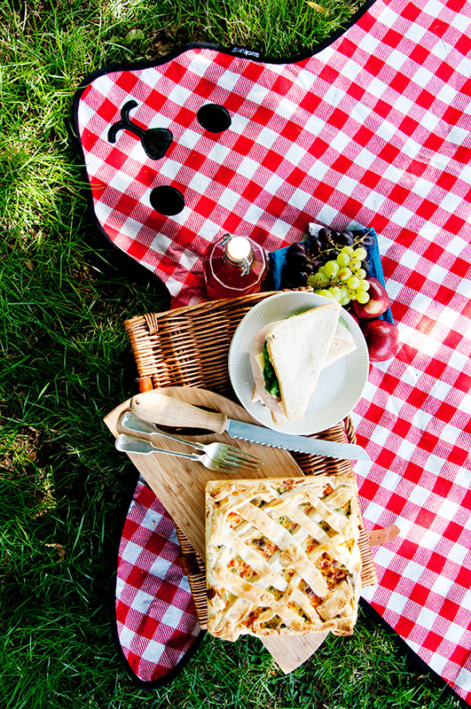 SK PICNICBEAR1 Коврик для пикника bear красный Suck UK  - Вид №2