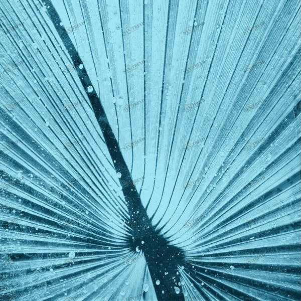 Арт-панель на холсте Alex Turco Organic Blue Palm BLUEPALM