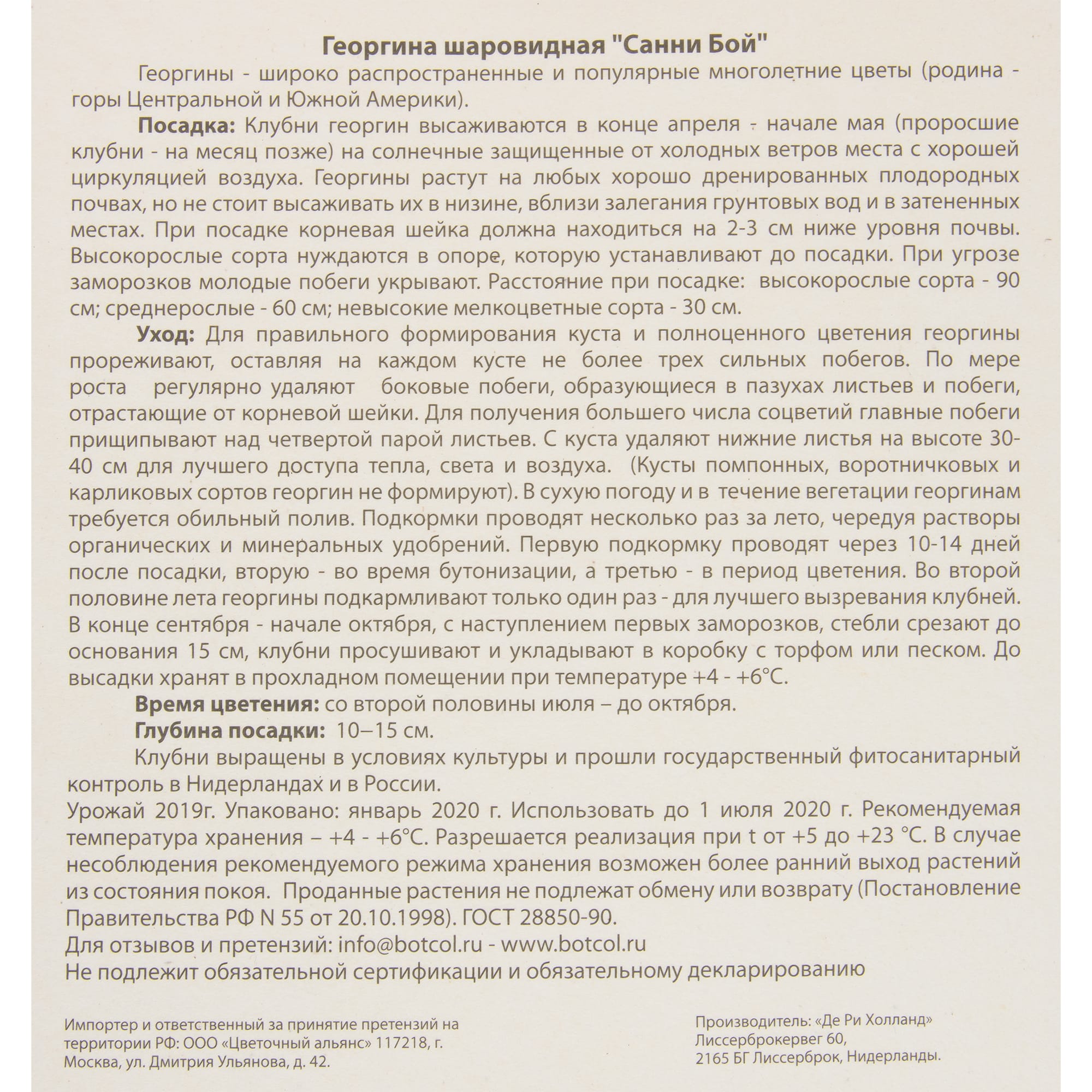 82539286 Георгина «Санни Бой» Santreyd  - Вид №2