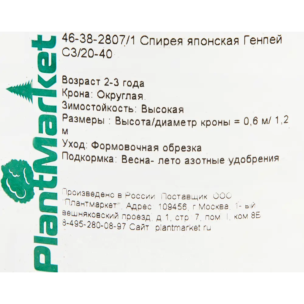 Спирея японская «Генпей», С3/20-40 см 18468710 STLM-2058236 Santreyd  - Вид №1