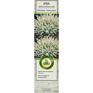 Ива цельнолистная Хакуро-Нишики h35 см 82527664 STLM-2135466