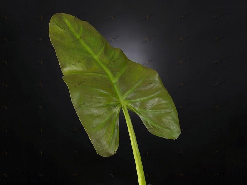 VGnewtrend Искусственное растение из полиэстера  1040800.60 