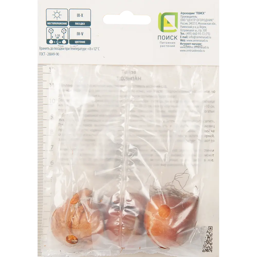 Тюльпан зеленоцветный Голливуд, 3 шт ПОИСК STLM-2162022 - Вид №1