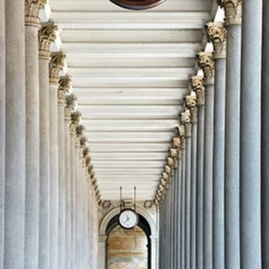 C1-280 Фотообои DIVINO Collection C 2.7х1 м