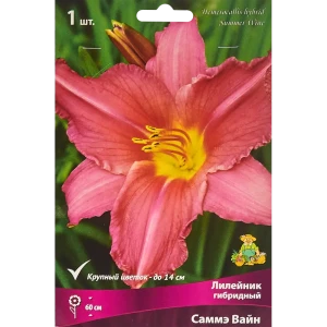 Лилейник гибридный Саммэ Вайн 86410474 STLM-2013140