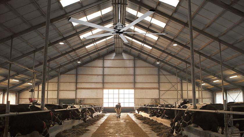 Vortice Nordik hvls super blade  61081  - Вид №3