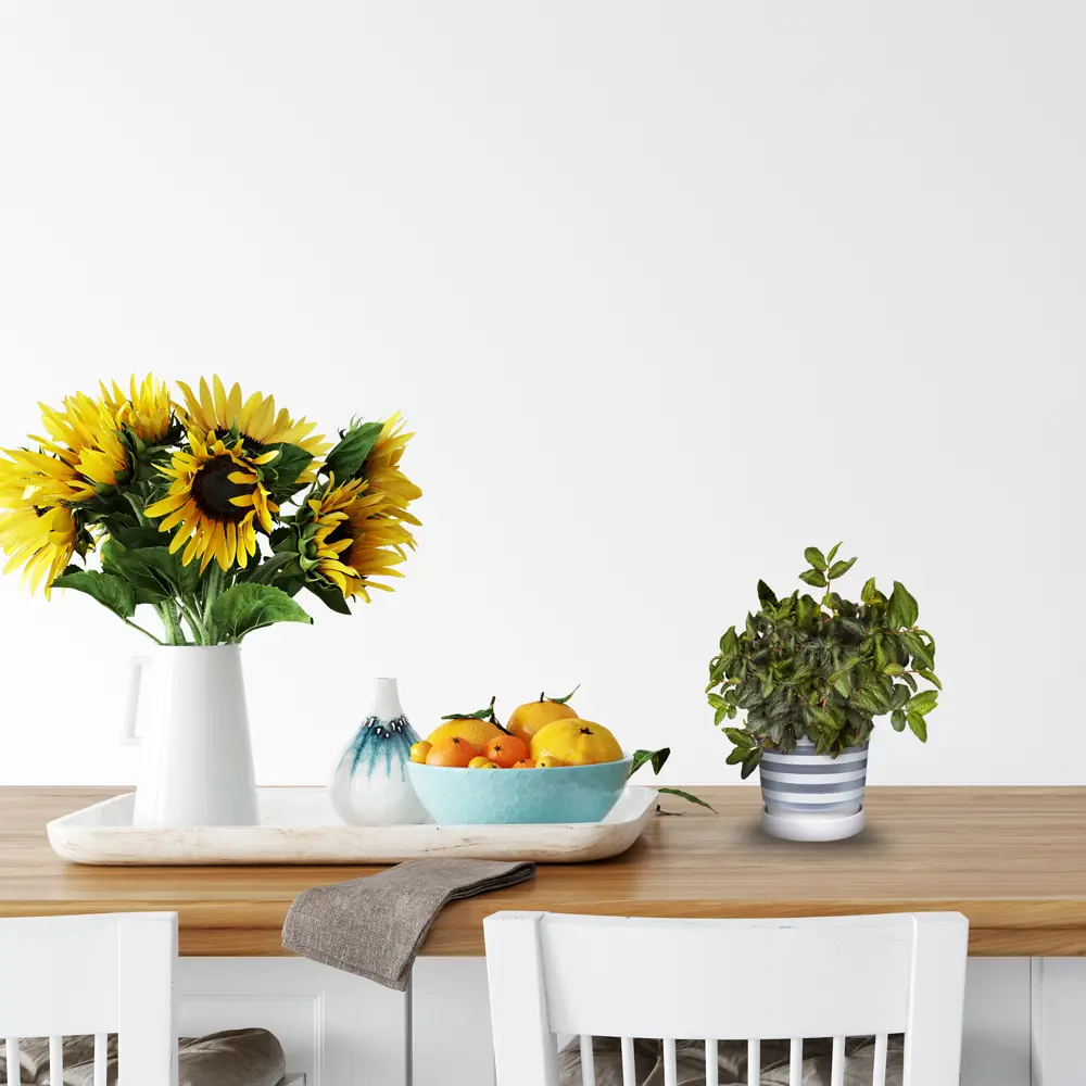 Santreyd Пеллиония Даво в кашпо - декоративное растение с бело-зелеными листьями 82649984 STLM-0032834 - Вид №3