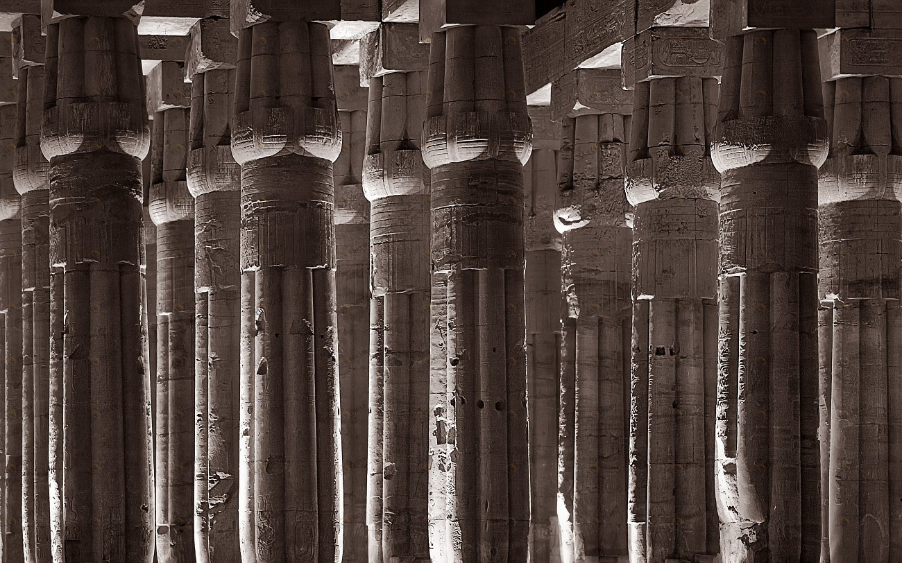 Фотокартина 160х100 см "Лотосы" PANKOVSKY STUDIO ПЛАСТИФИКАЦИЯ 015933 Бежевый;коричневый 