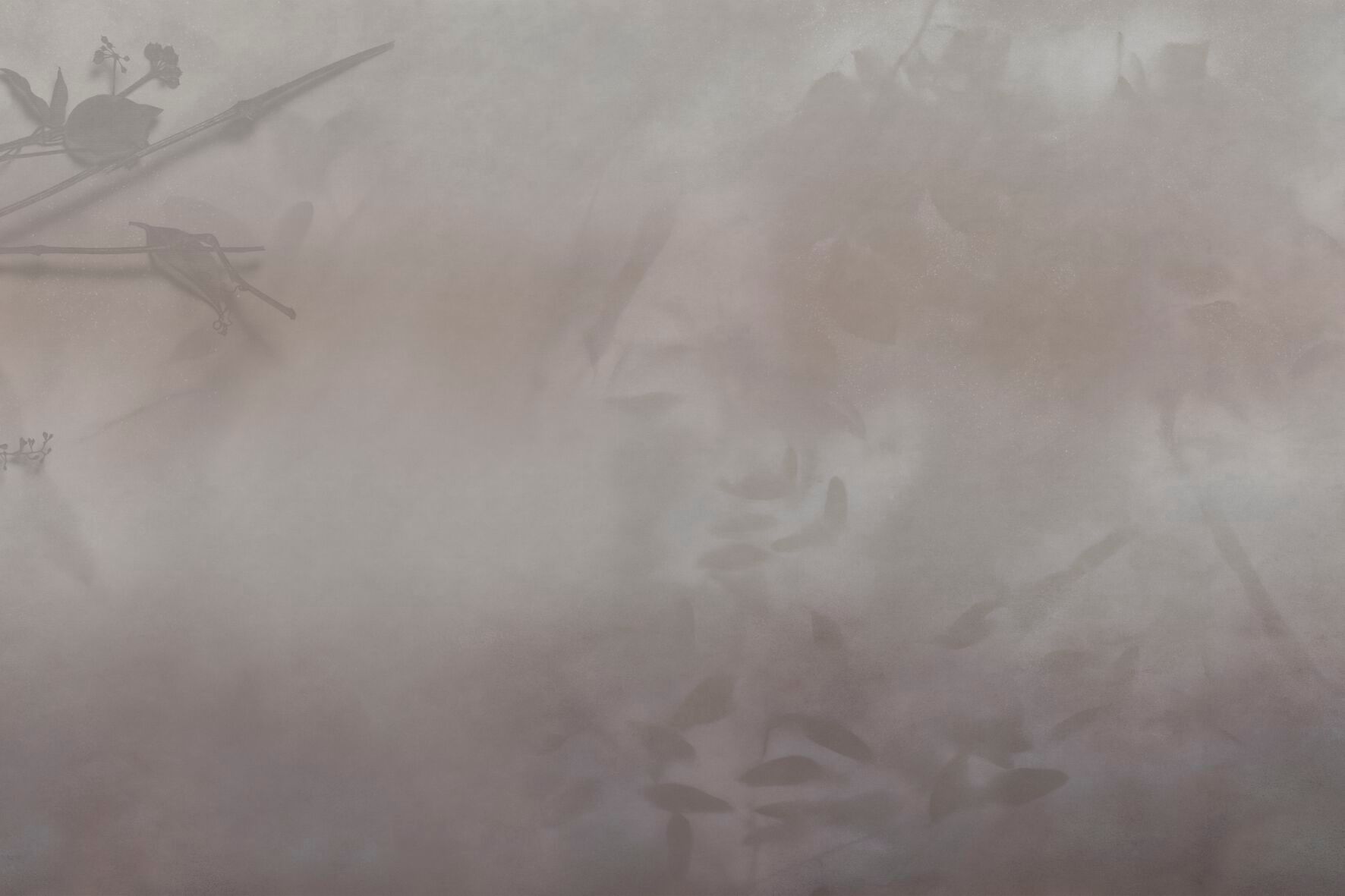 Панорамные обои GLAMORA Творческая коллекция, глава XIV ARCH-00000810 - Вид №4