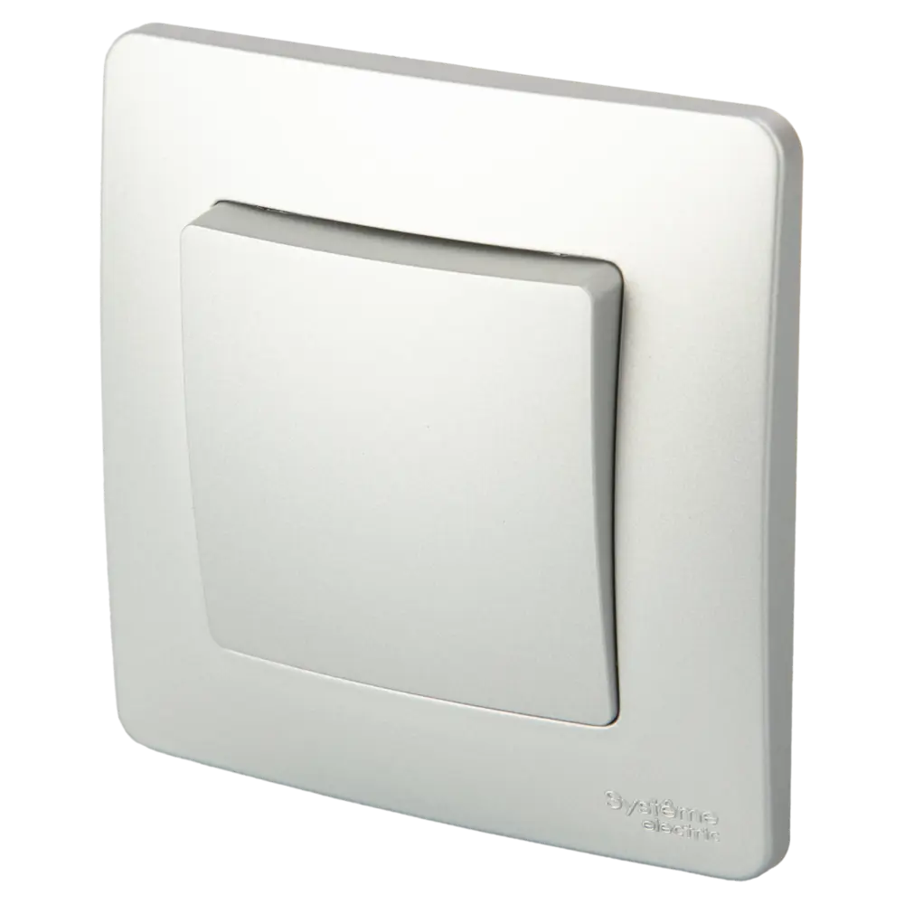 Выключатель встраиваемый Systeme Electric Blanca Сх1 1 клавиша цвет алюминий 82454946 STLM-2002913