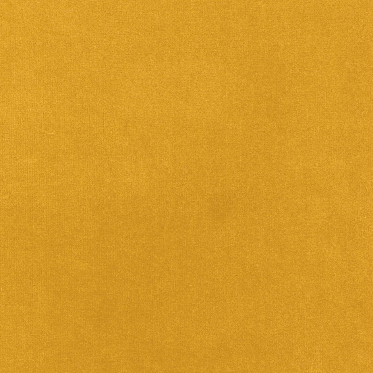 Бархатная однотонная ткань Élitis Palatine ARCH-00143253 - Вид №15