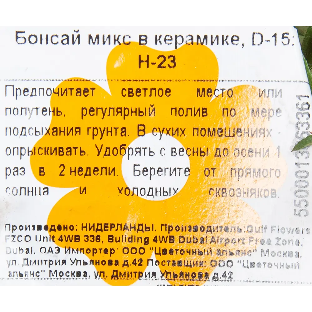 Бонсай микс 3 вида керамика 15x23 см 82771289 STLM-2025716 Santreyd  - Вид №2