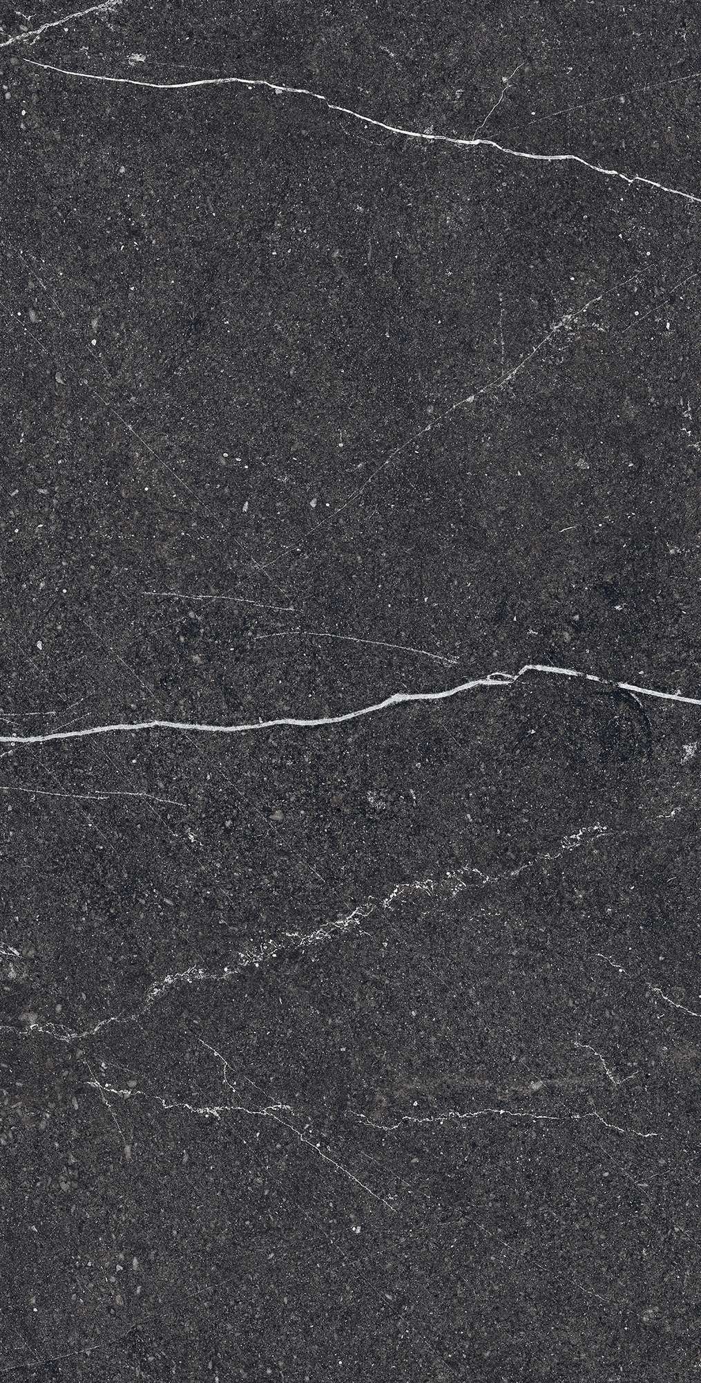 EQUISTONE CHARCOL ARCADIA CERAMICA RG6003-A - Вид №5