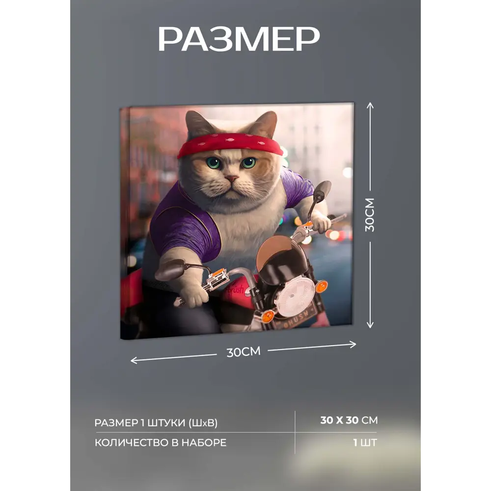 Картина на холсте Байкер 30x30 см 87233221 STLM-2064661 FBRUSH  - Вид №3