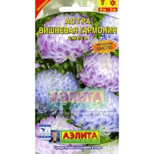 Астра «Вишнёвая гармония» смесь окрасок 13888301 STLM-2058670