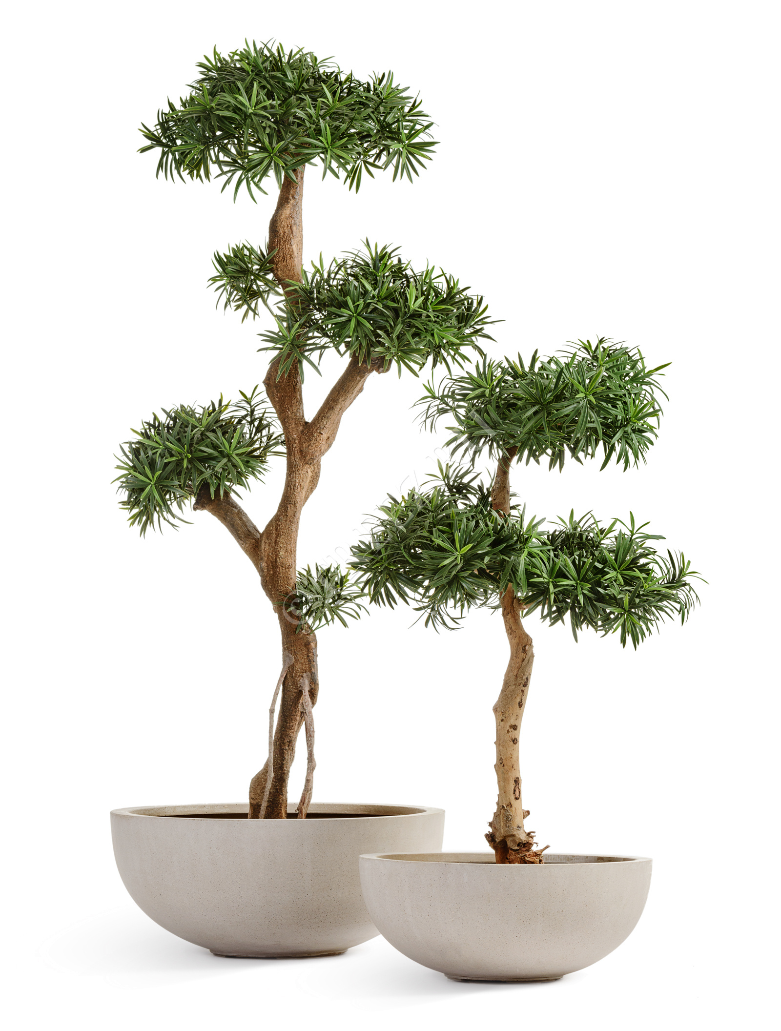 41.3317-02-006-BE-62 Кашпо  Effectory - серия Beton - Низкая чаша - Белый песок Цветочная коллекция  - Вид №9