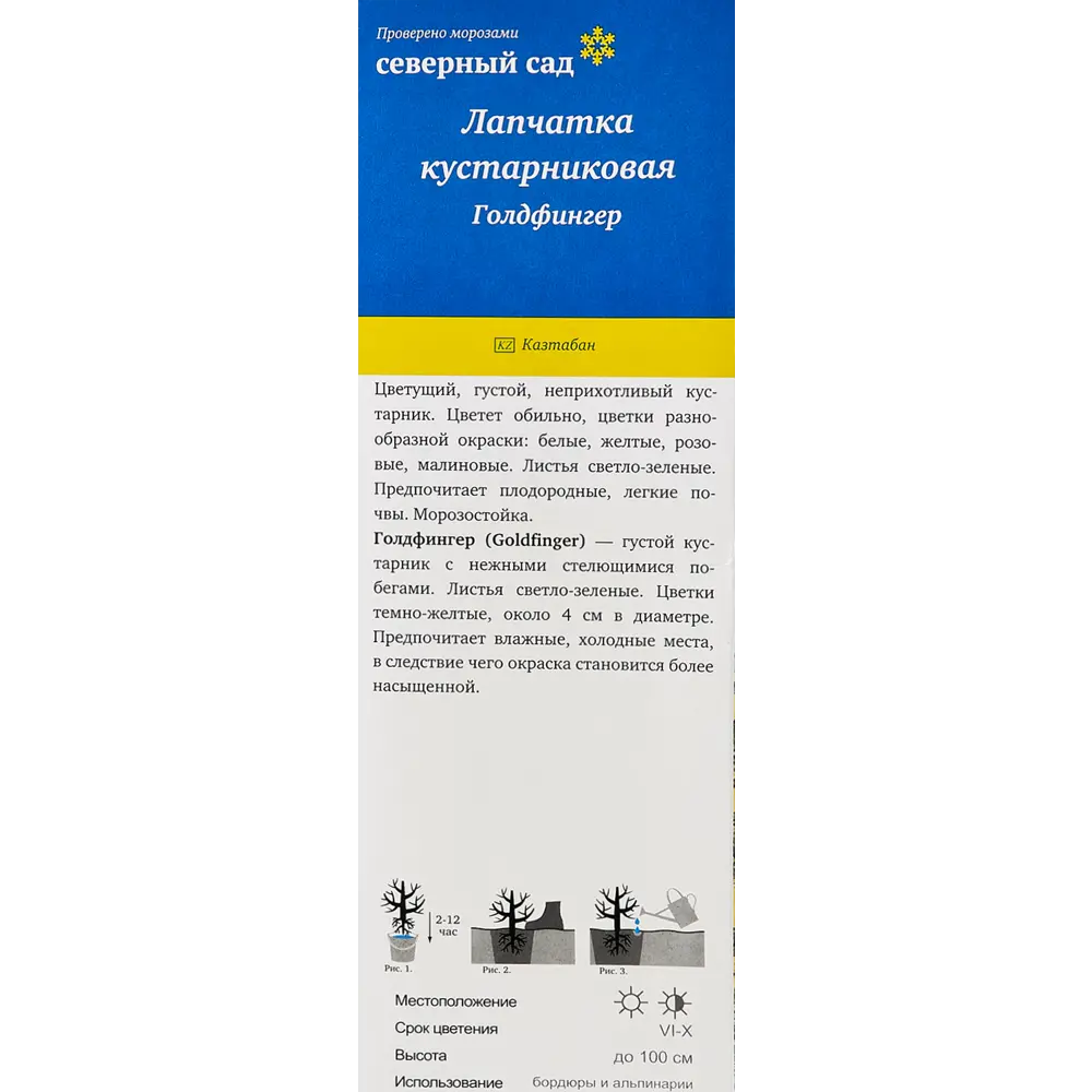 Лапчатка кустарниковая Северный сад «Голдфингер» 18350607 STLM-2138127 Santreyd  - Вид №2