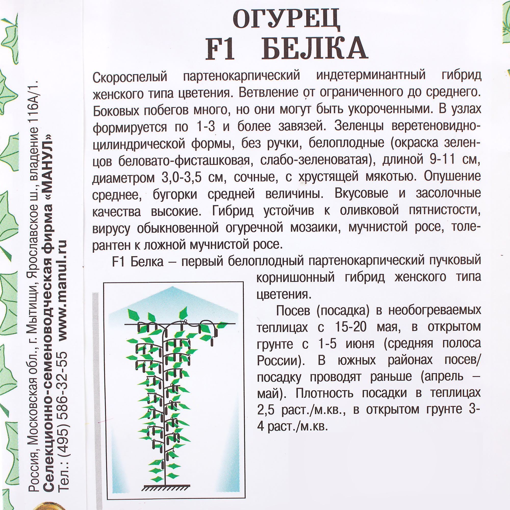 81932528 Семена Огурец «Белка» F1 Santreyd  - Вид №2