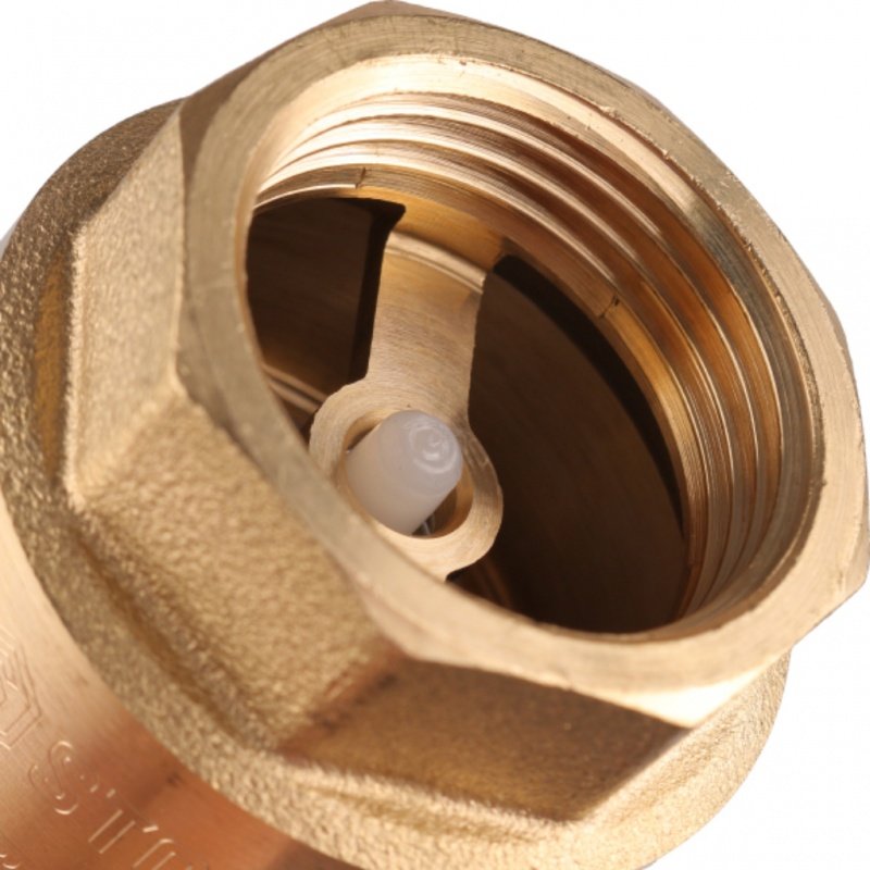 Клапан обратный STOUT 1" (пластиковое седло) пружинный SVC0012000025 - Вид №1