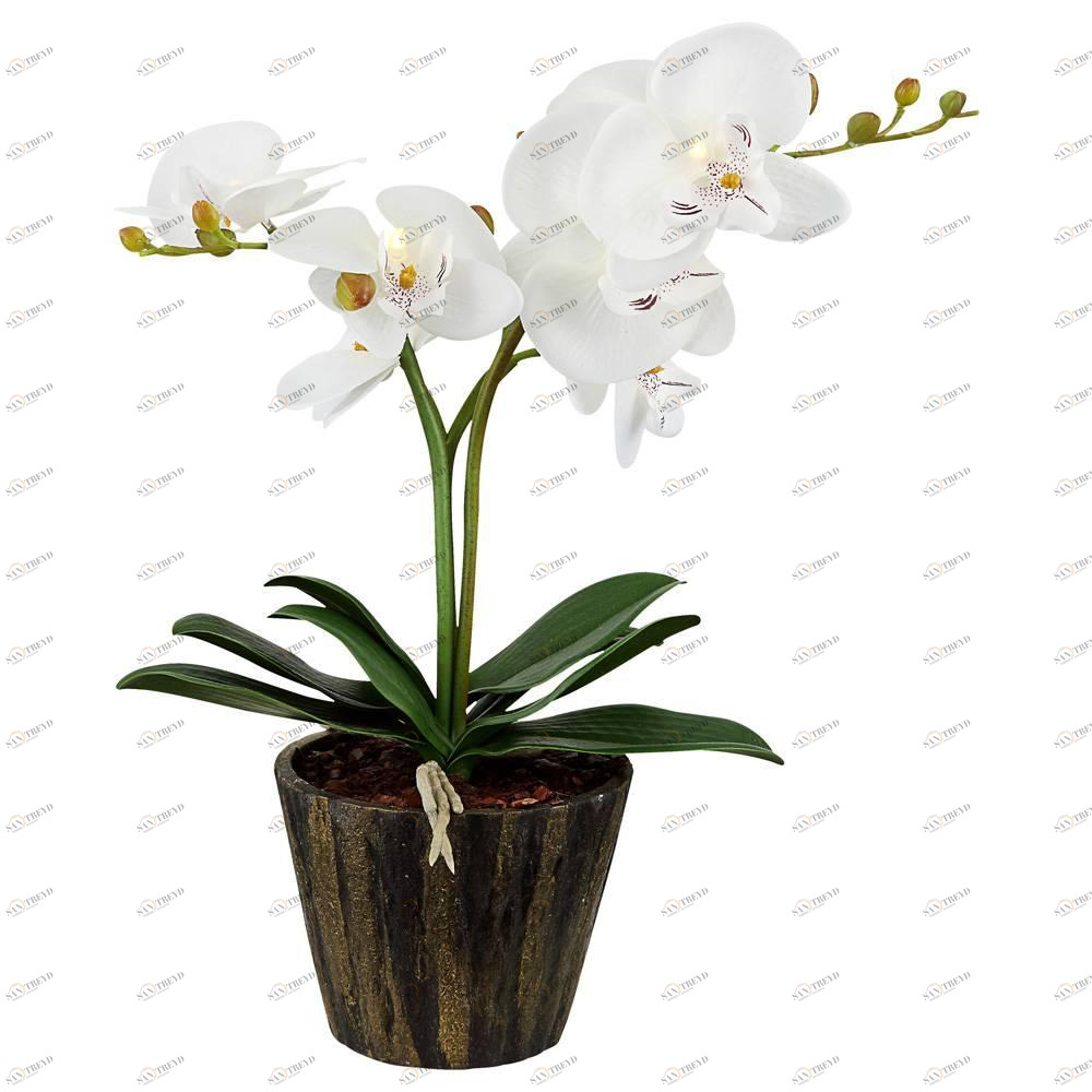 Настольная лампа Globo Flowerpower 28002 GLOBO ФЛОРИСТИКА 110297 Белый;черный Ceramica Globo 