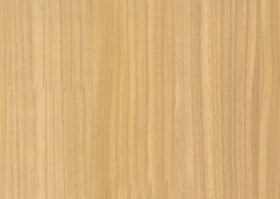 Обои с эффектом дерева Jannelli&Volpi СП 454 OMNIA ARCH-00039930 - Вид №12