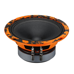 5492924 Среднечастотная акустическая система DL Audio Gryphon Pro 165