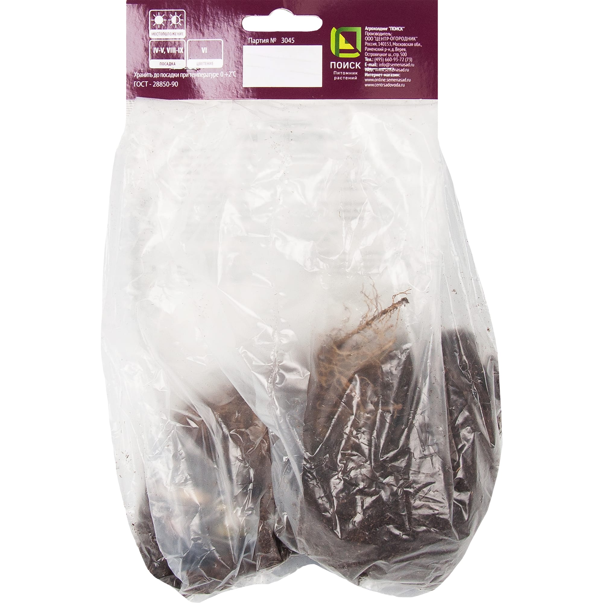 82319550 Ирис сибирский «Йеллоу Тейл», размер луковицы I Santreyd  - Вид №1