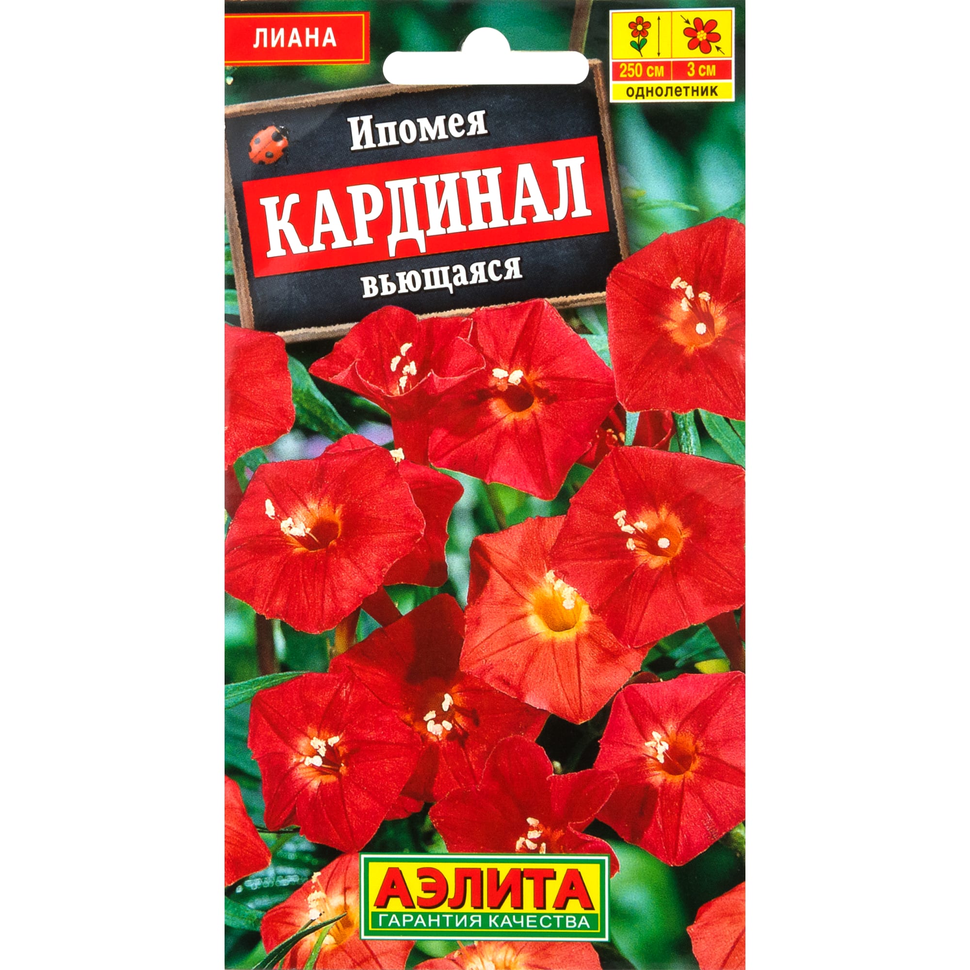 83495445 Семена Ипомея вьющаяся «Кардинал» Santreyd 