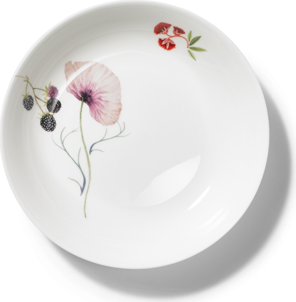 10639937 Dibbern Тарелка суповая Dibbern "Страна чудес" 22,5см Фарфор 