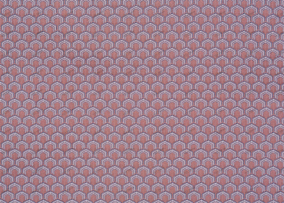 COLORISTICA Ткань мебельная  Жаккард  NEWErwin Фиолетовый erwin-i-col-05