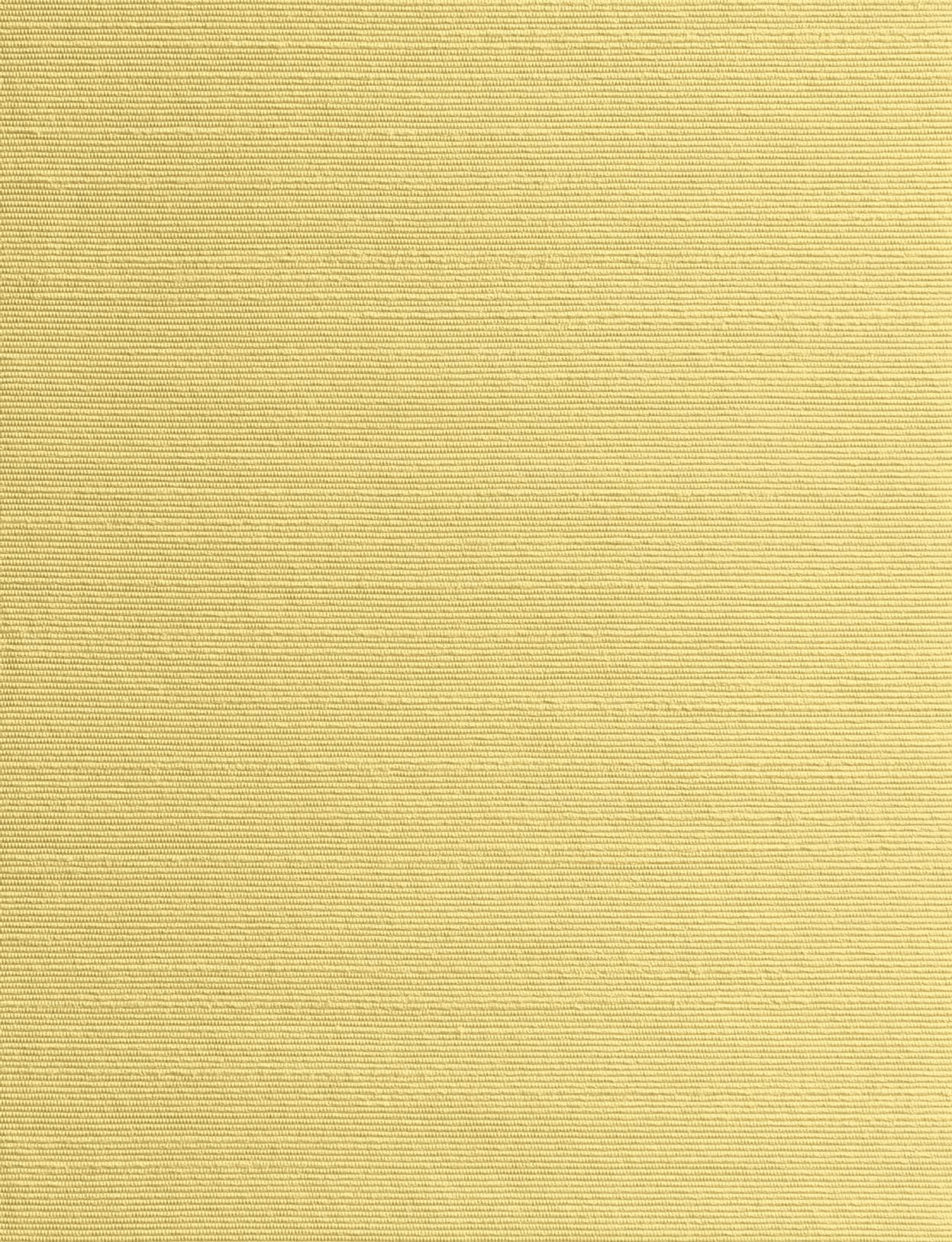 Ткань / обои в Trevira® CS Dedar Alter Ego ARCH-00071553 - Вид №22