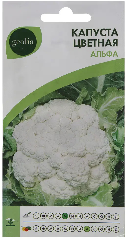 Семена цветной капусты Geolia Альфа - ранний урожайный гибрид 17585447
