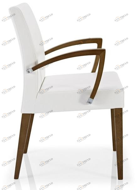 JMS Стул с подлокотниками Cassis M 14b