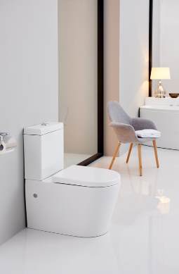 CT2046 Напольный унитаз SSWW CT  - Вид №3