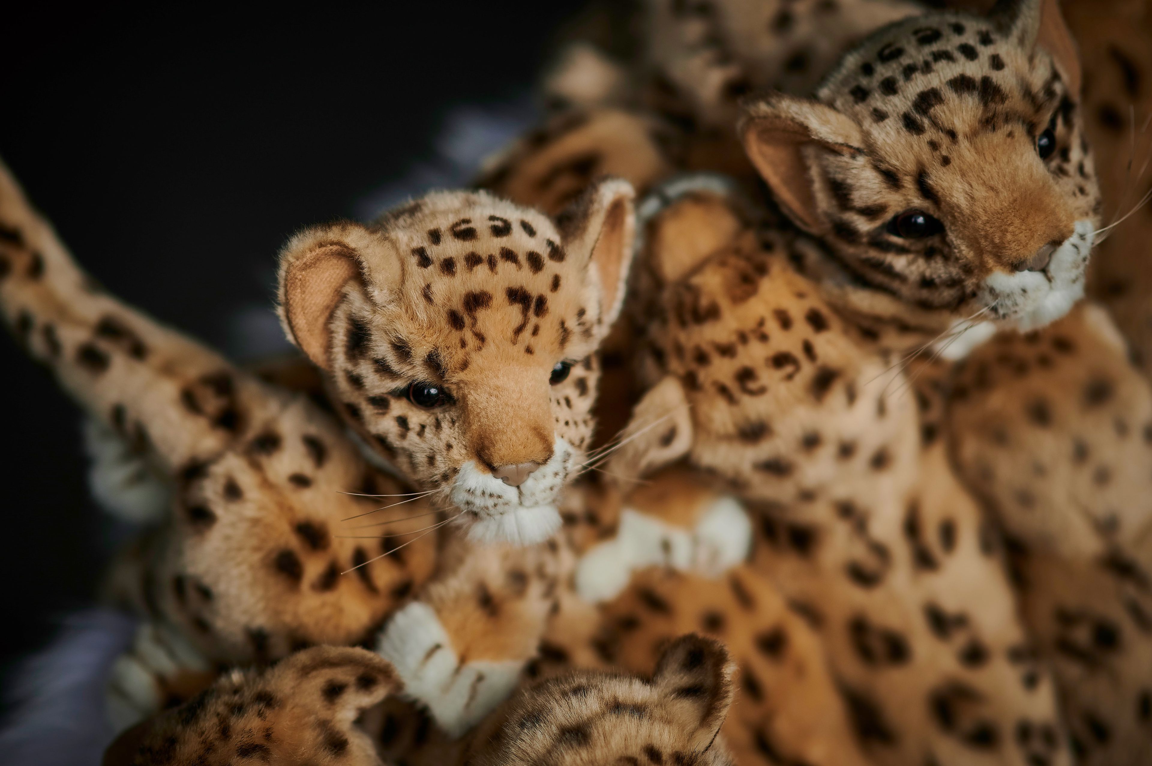 Стул из полиэстера APCOLLECTION Leo ARCH-00127524 - Вид №10