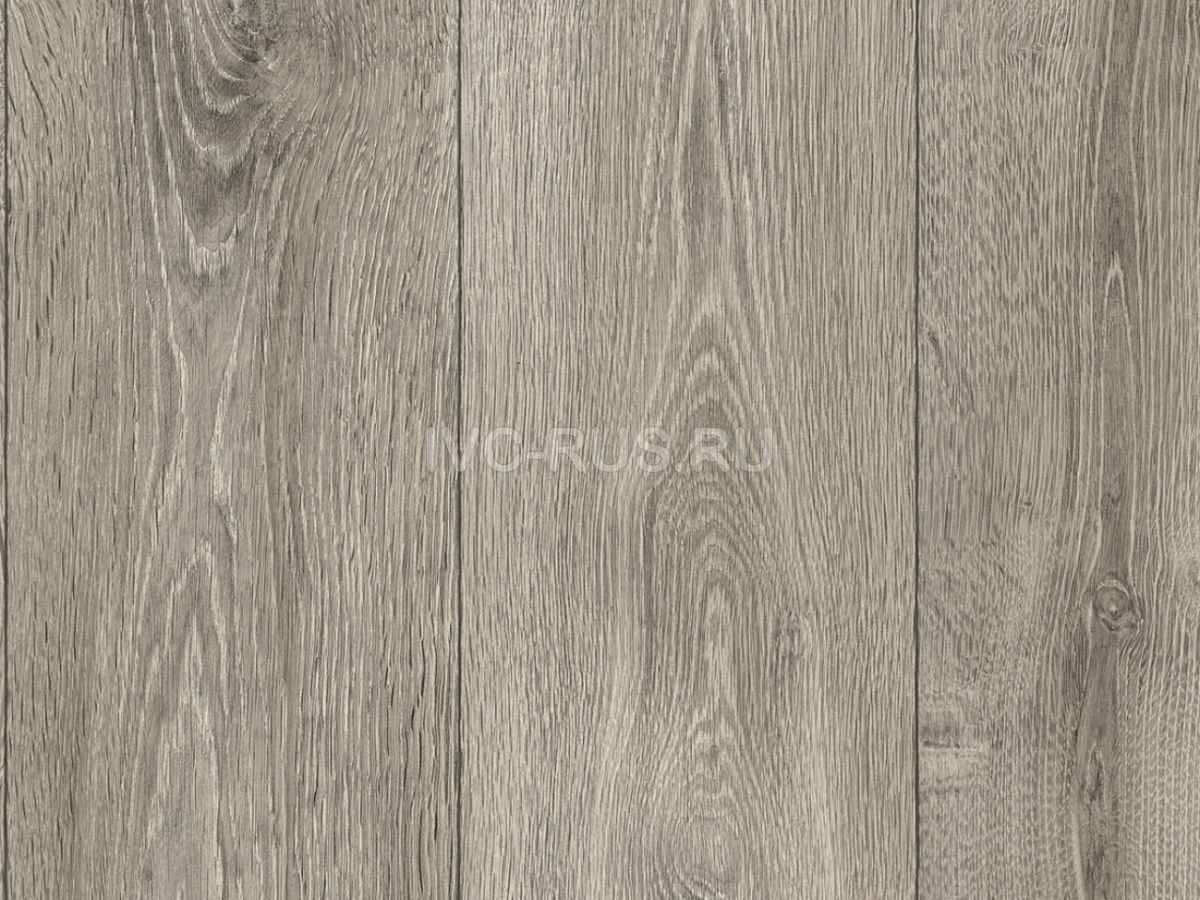 Линолеум полукоммерческий SOLiD PORTO - СОЛИД ПОРТО i515840 IVC-RUS 