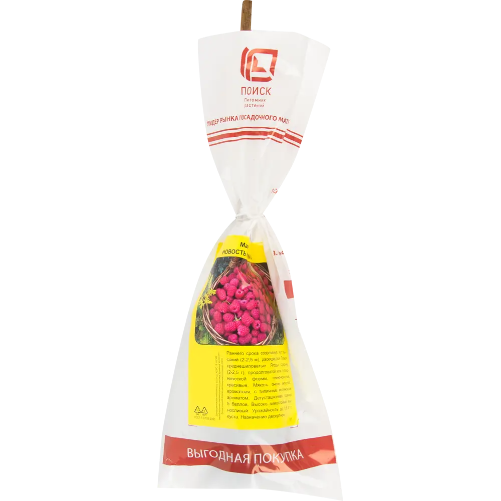 Малина Новость Кузьмина h40 см 83791453 STLM-2171104 Santreyd 