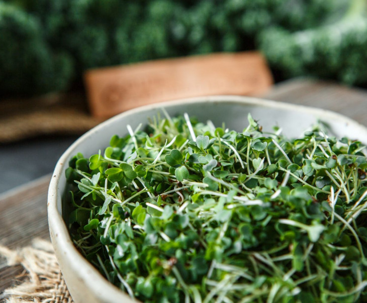 5759 Микрозелень рукколы Вкусляндия  - Вид №1