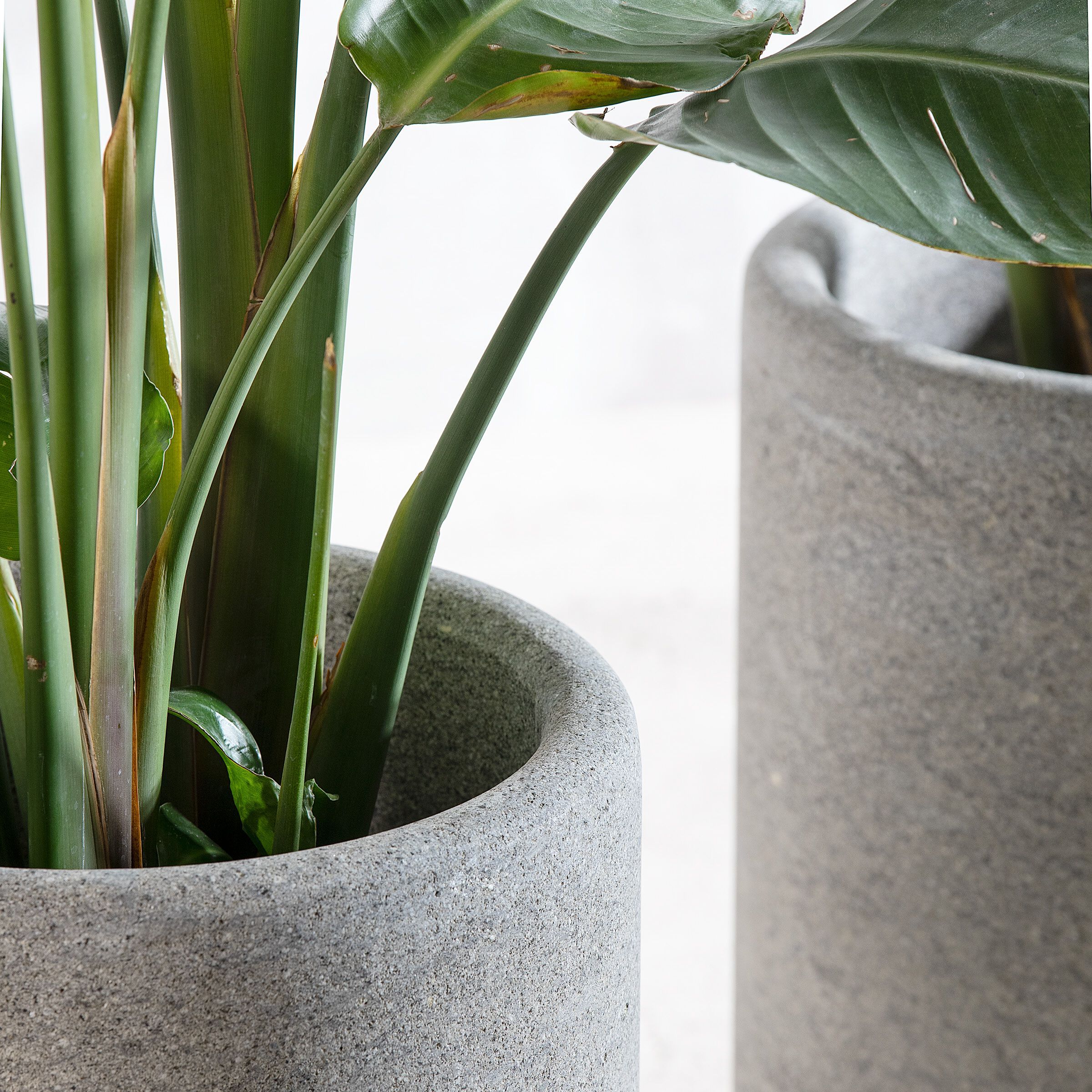 Круглый садовый горшок из пеперино VELTHA® Lapis ARCH-00047464 - Вид №3