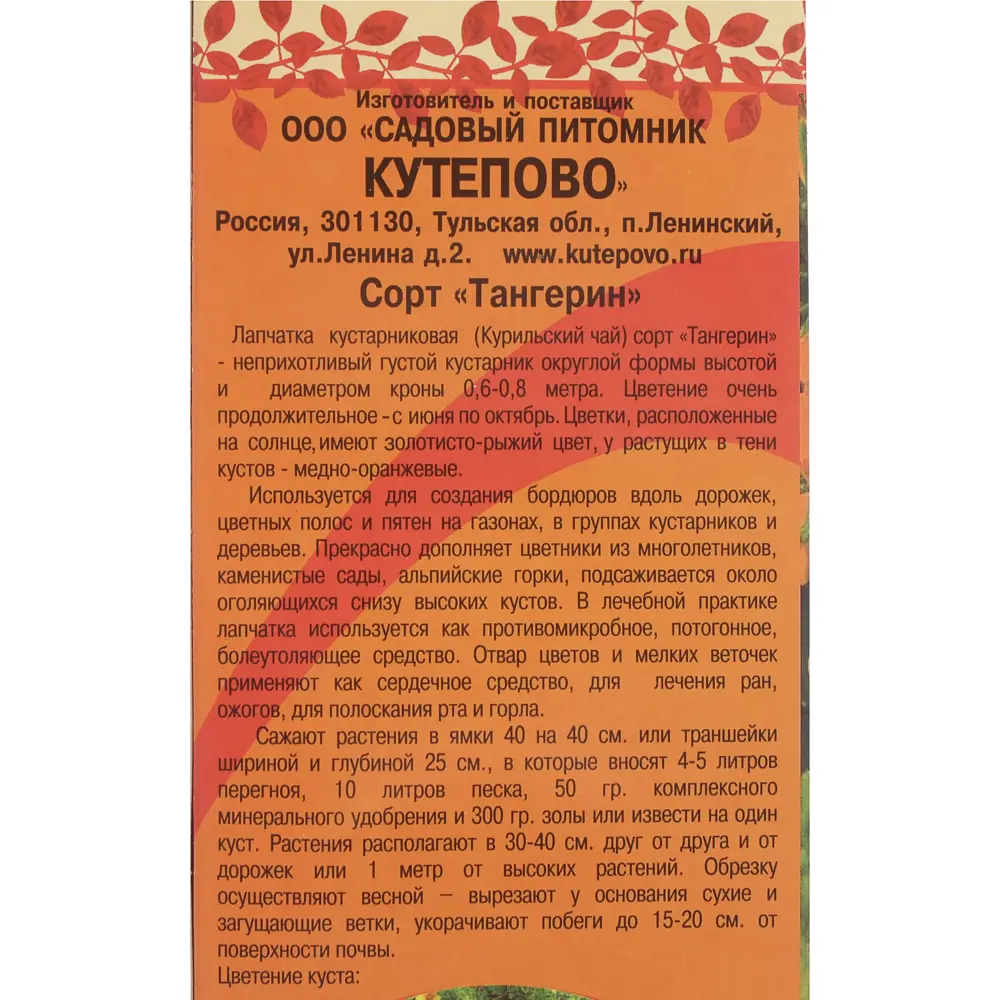 Лапчатка оранжевая Tangerin, в коробке 81959711 STLM-2143500 Santreyd  - Вид №2