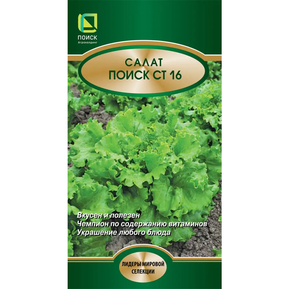 Семена салата Поиск СТ16 для выращивания в открытом грунте 89401146 STLM-1573975