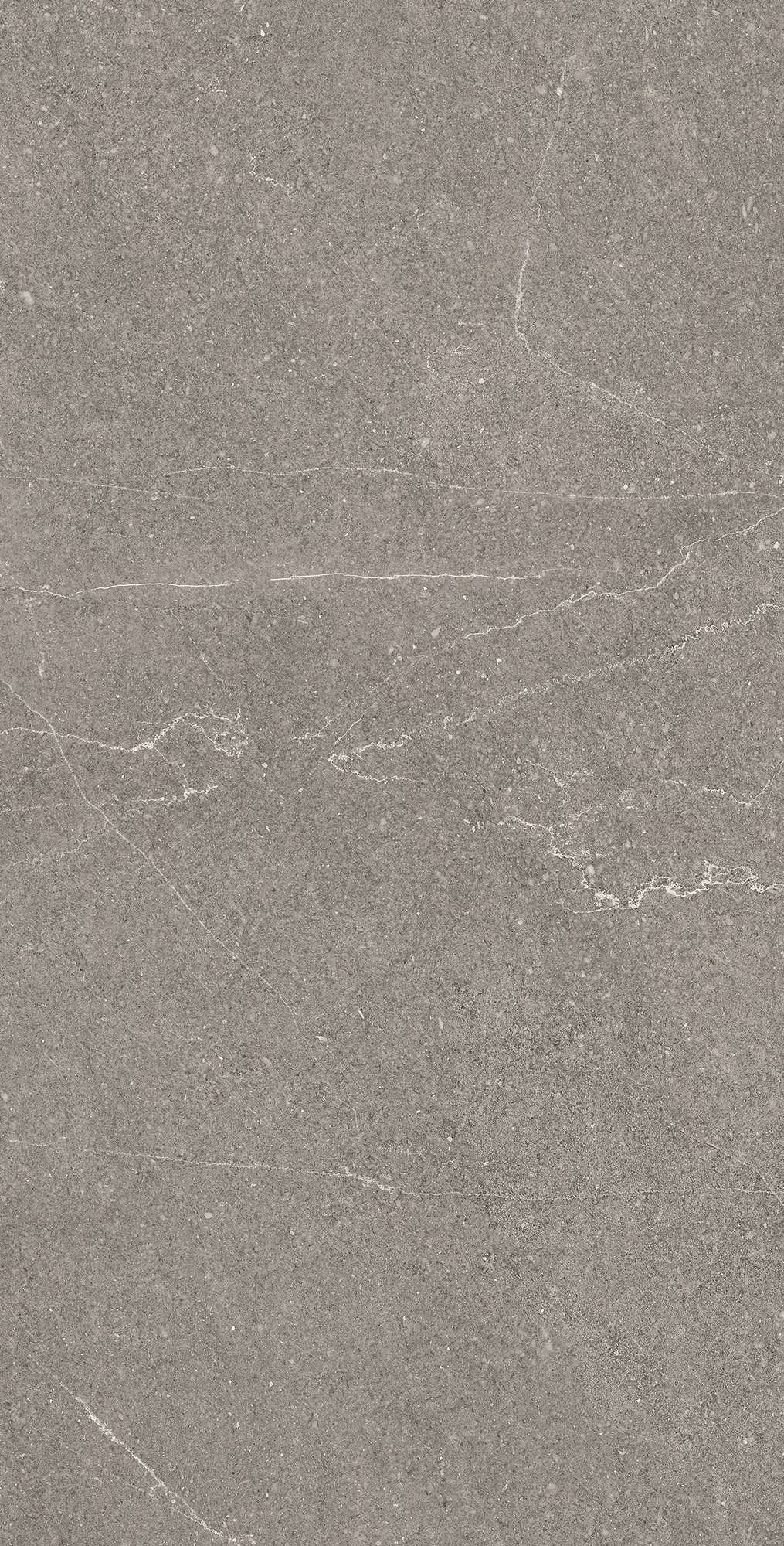 Графитовая элегантность EQUISTONE RG6002-A Arcadia Ceramica - Вид №4