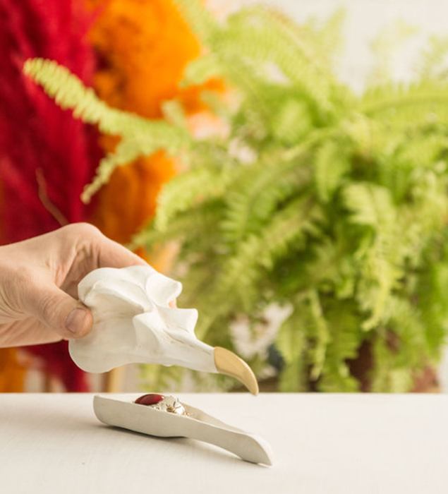 SK TIDYBIRD1 Шкатулка для украшений bird skull (белый) Suck UK  - Вид №2