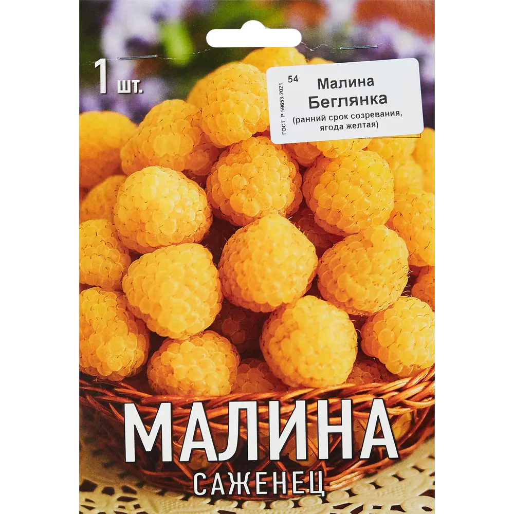 Малина Беглянка ø9 h39 см 83738728 STLM-2179109 Santreyd 