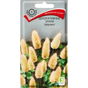 Семена цветов Поиск декоративные Злаки Зайцехвост