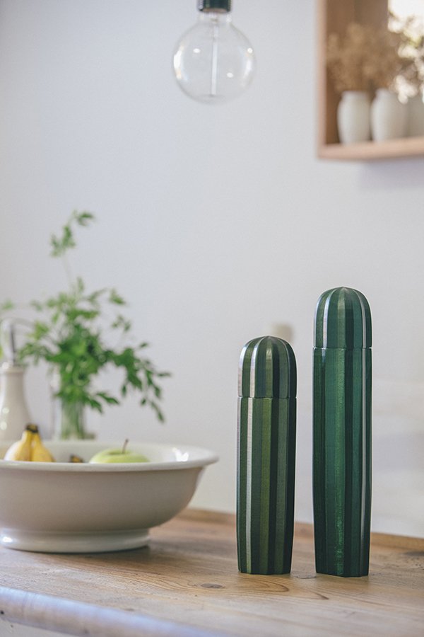 Мельницы деревянные для соли и перца коричневые Cacti DOIY ДИЗАЙНЕРСКИЕ 00-3869970 Коричневый  - Вид №2