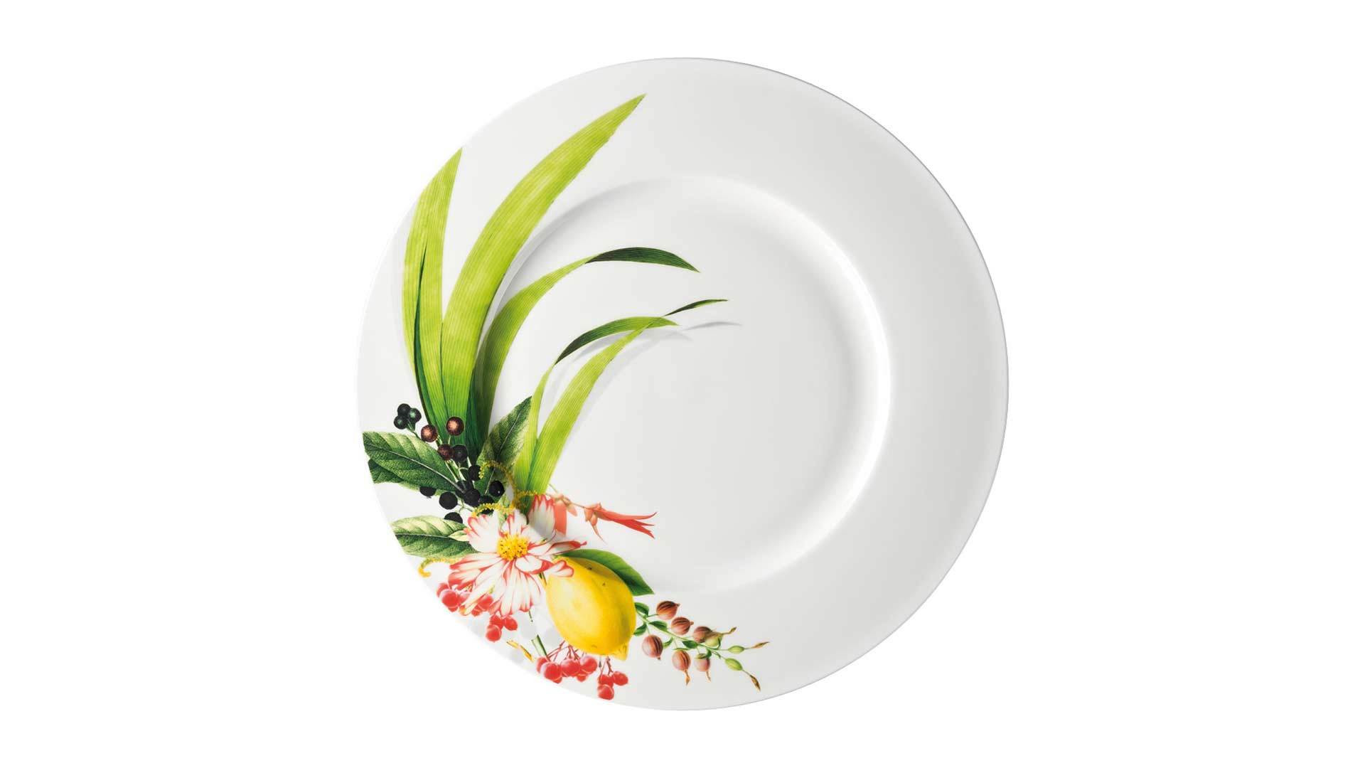10645765 Rosenthal Набор тарелок подстановочных с бортом Rosenthal Фруктовый сад 33см, фарфор, 6шт Фарфор  - Вид №1
