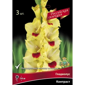 Гладиолус Контраст, 3 шт. 89351816 STLM-2026507