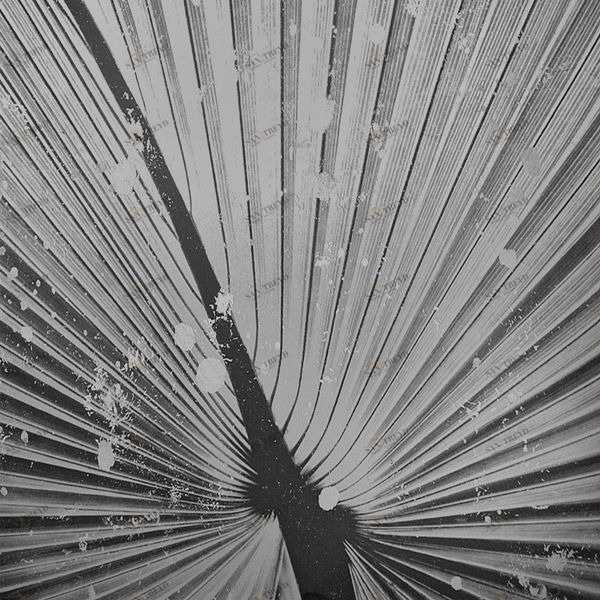 Арт-панель на холсте Alex Turco Organic Silver Palm SILVERPALM