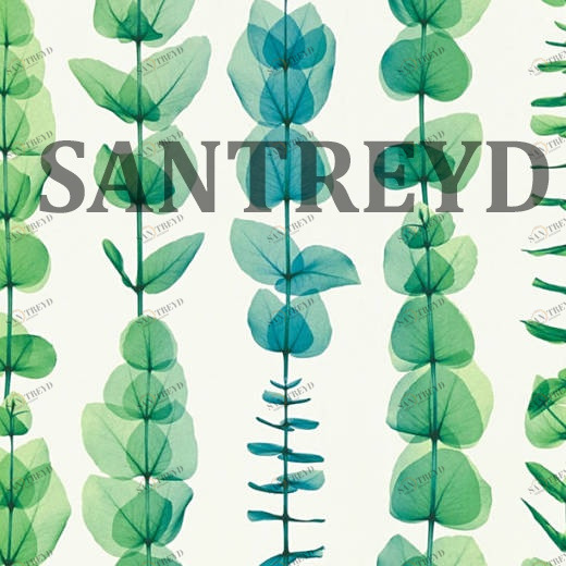 34246-4 Обои A.S. Creation X-Ray 342464